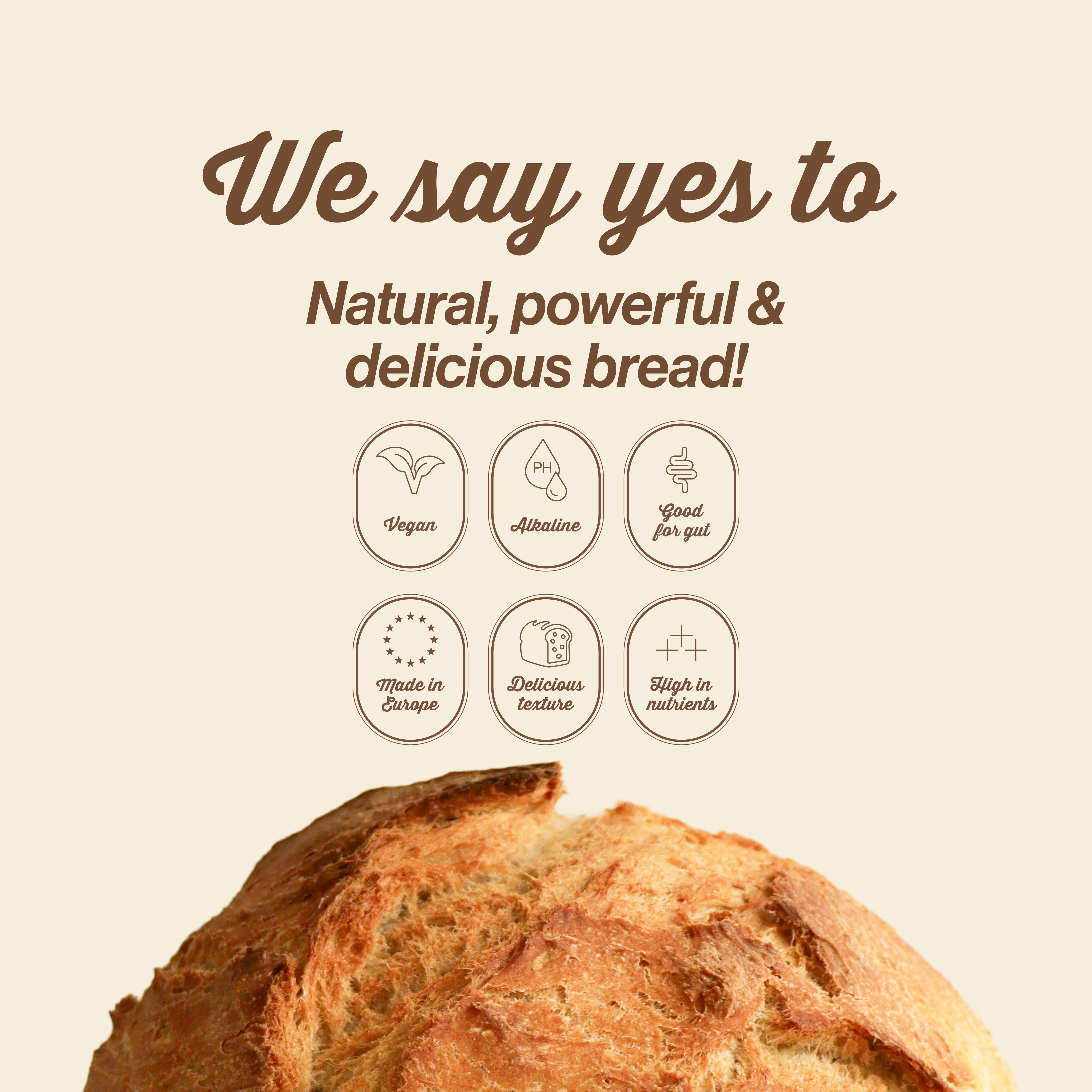 Sourdough Bread Baking Mix