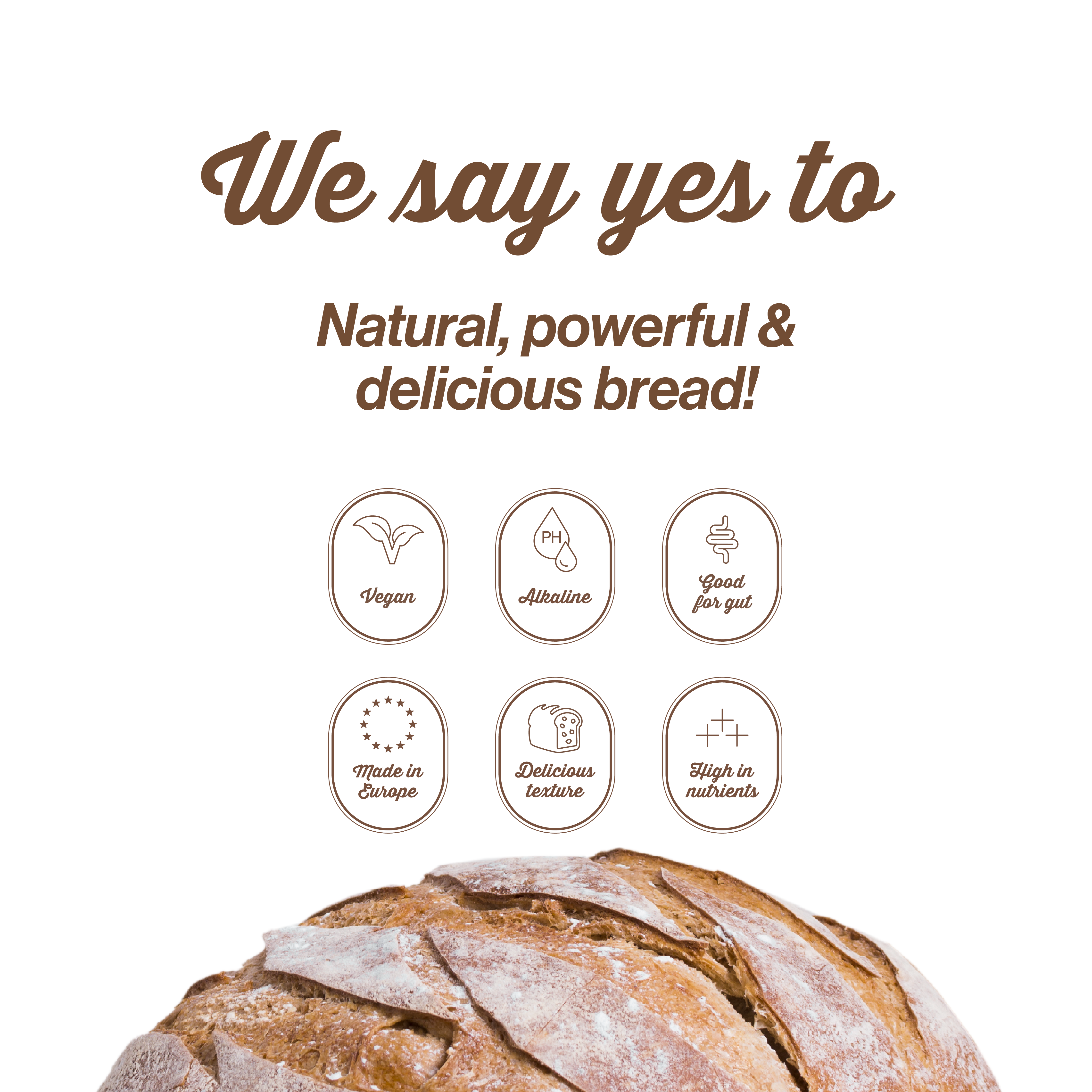 Sourdough Bread Baking Mix