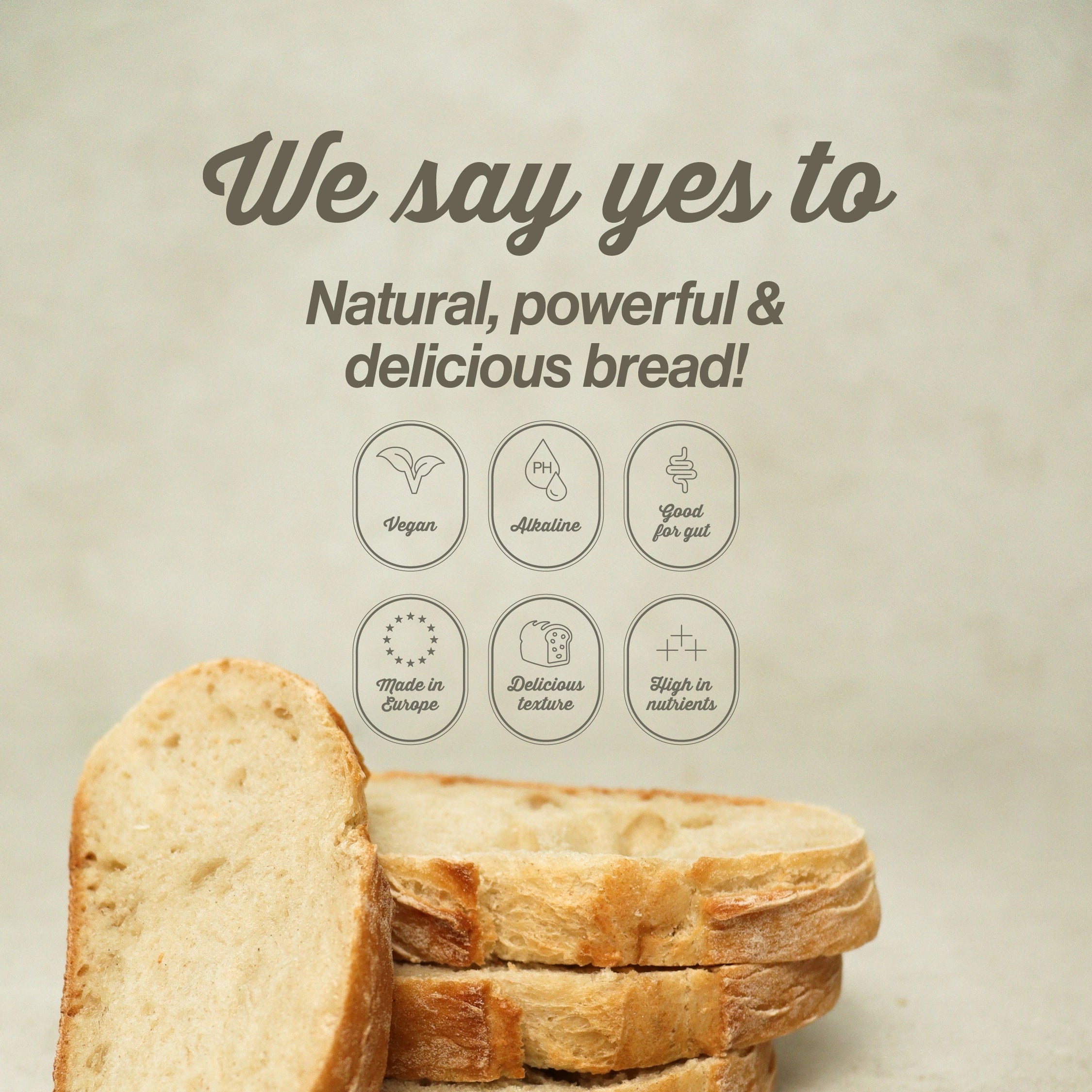 Ciabatta Sourdough Baking Mix